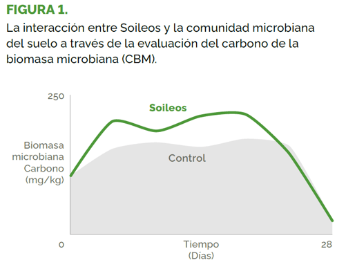 Biomasa_Microbiana_Soileos-vs-Control