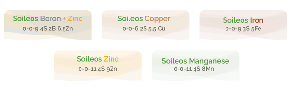 Untitled design-Mar-03-2026-10-10-14-0841-PM