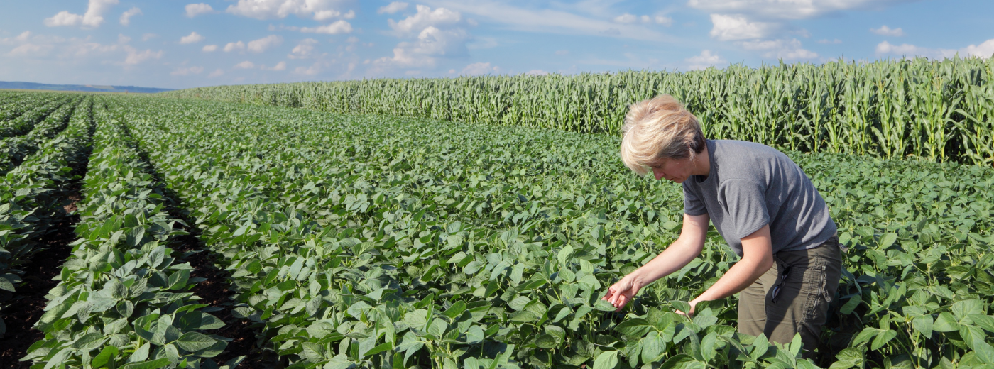 https://9252743.fs1.hubspotusercontent-na1.net/hubfs/9252743/Agronomy%20Insights.png