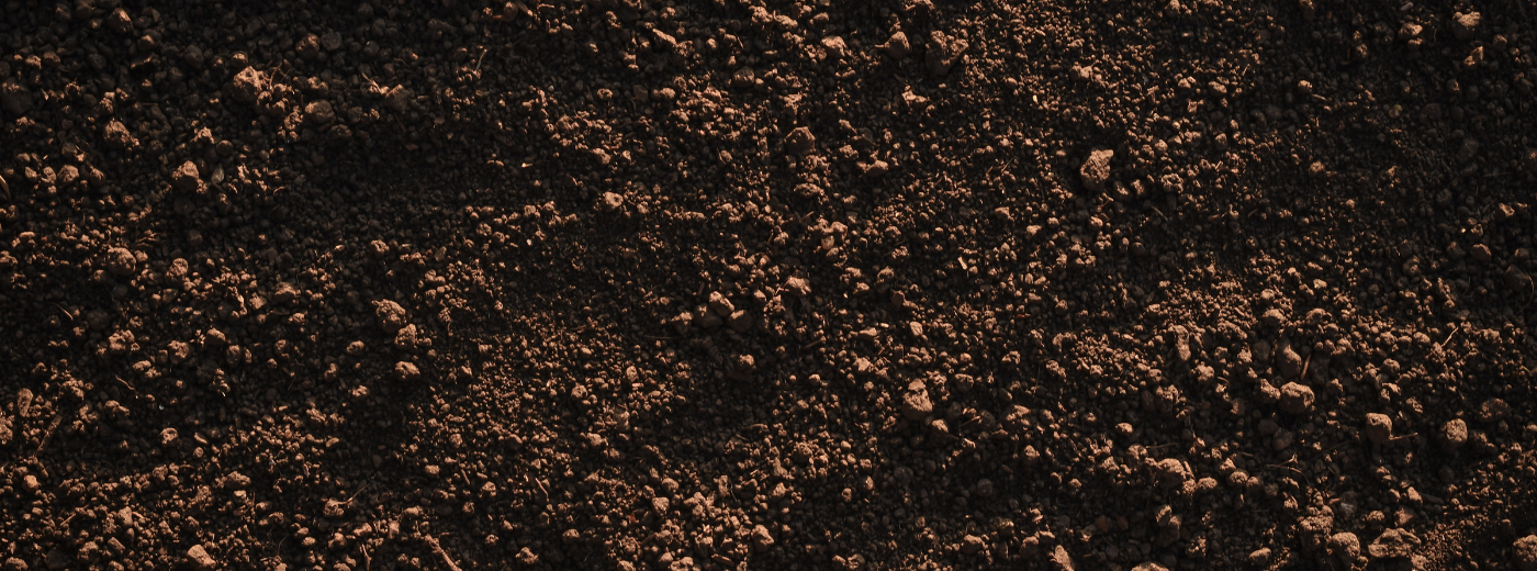 https://9252743.fs1.hubspotusercontent-na1.net/hubfs/9252743/Blog%20Hero%20-%20%20How%20Soil%20Microbes%20Drive%20Nutrient%20Efficiency.png