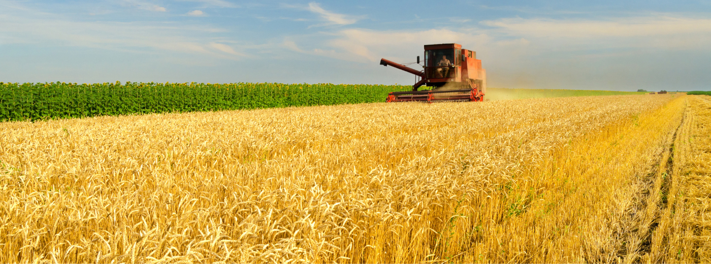 https://9252743.fs1.hubspotusercontent-na1.net/hubfs/9252743/The%20Unseen%20Race%20that%20Shapes%20Your%20Harvest.png